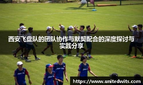 西安飞盘队的团队协作与默契配合的深度探讨与实践分享